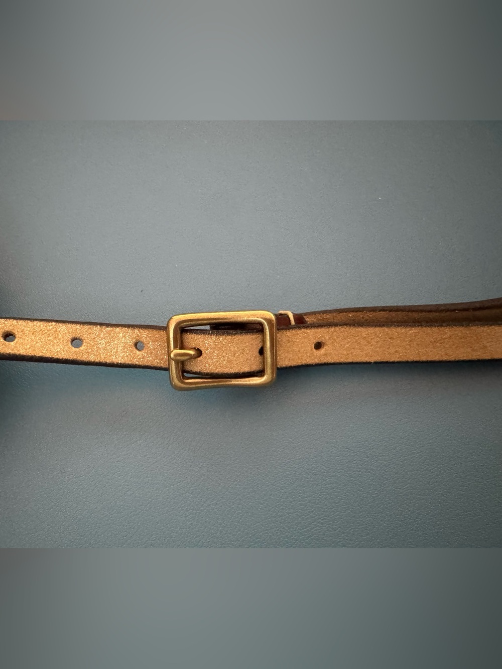Anthropologie Leather Sparkle Belt, Size Small